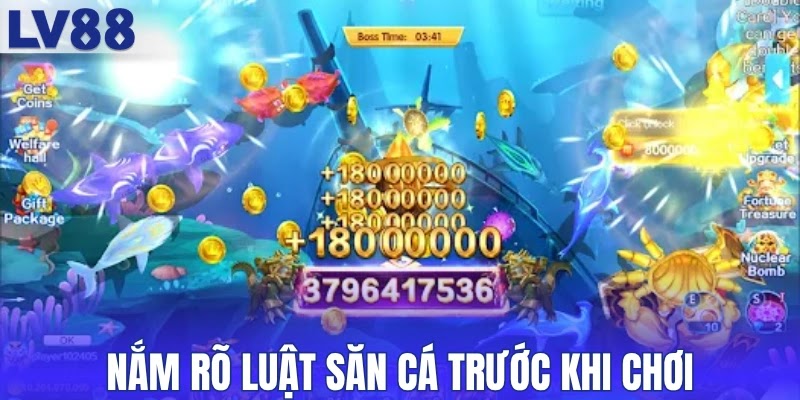 Nắm rõ luật săn cá trước khi chơi